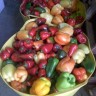 Canning Class